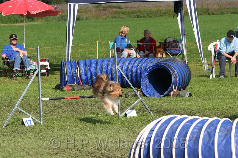 jubil.lusten. 162.jpg